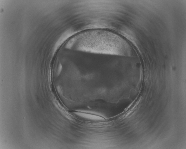 X0000067391179200604131924