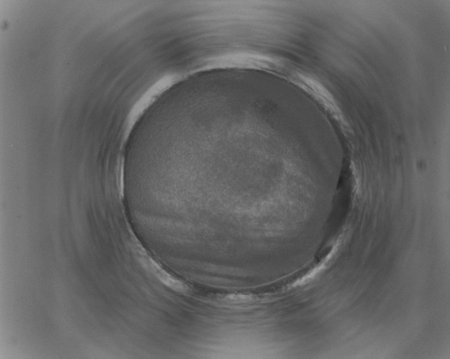 X0000067391180200604131924