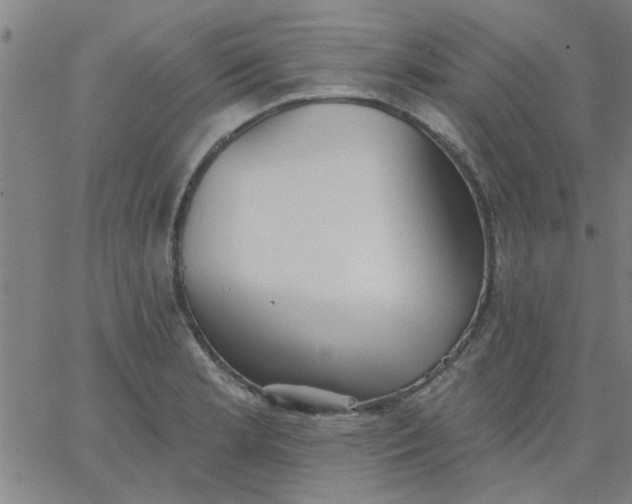 X0000067391181200604131924