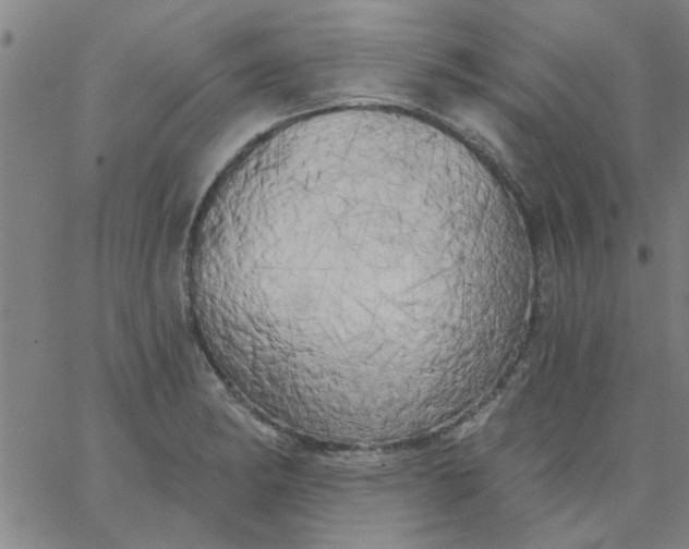 X0000067391182200604131924