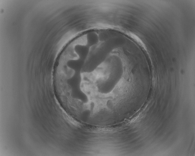 X0000067391183200604131924