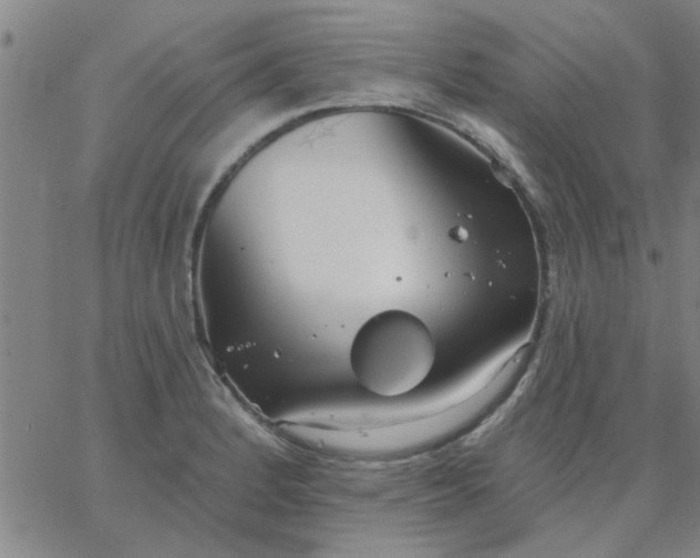 X0000067391184200604131924