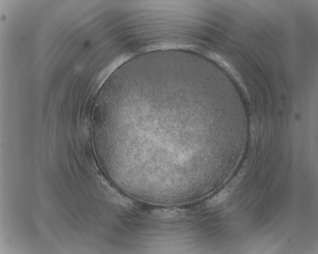 X0000067391185200604131924