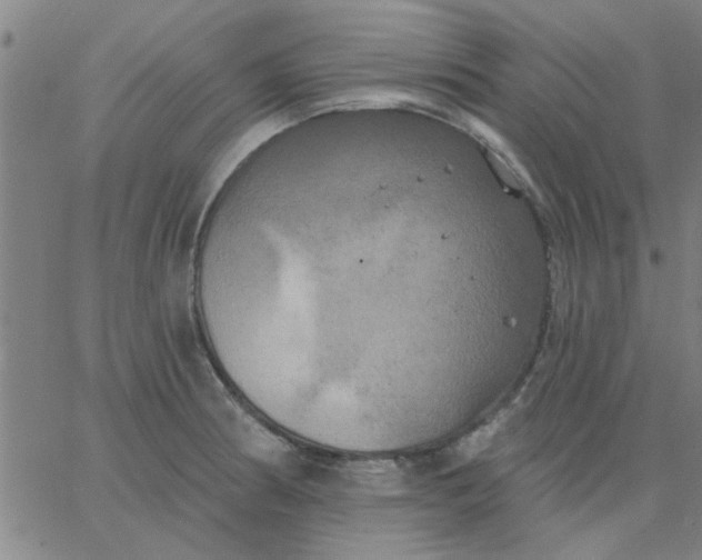 X0000067391186200604131924