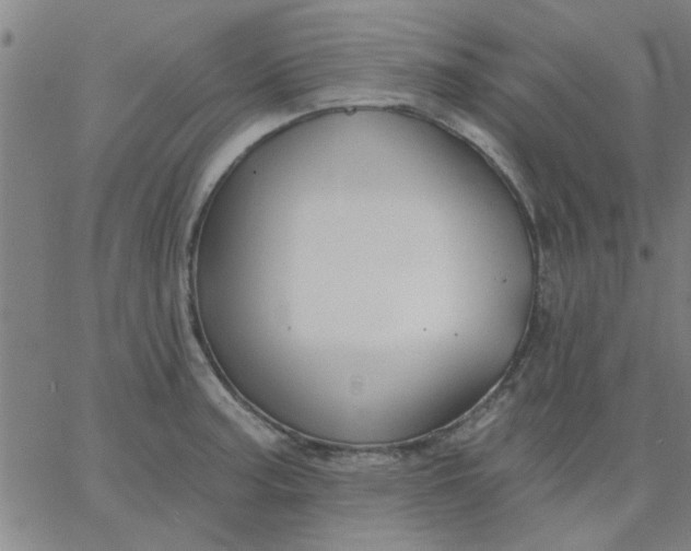 X0000067391187200604131924