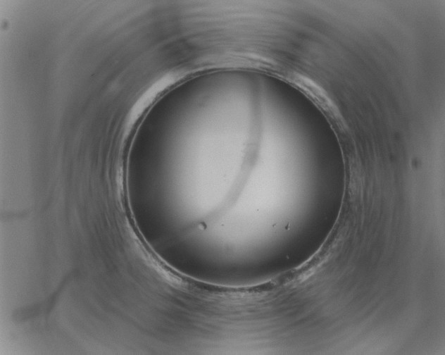 X0000067391188200604131924