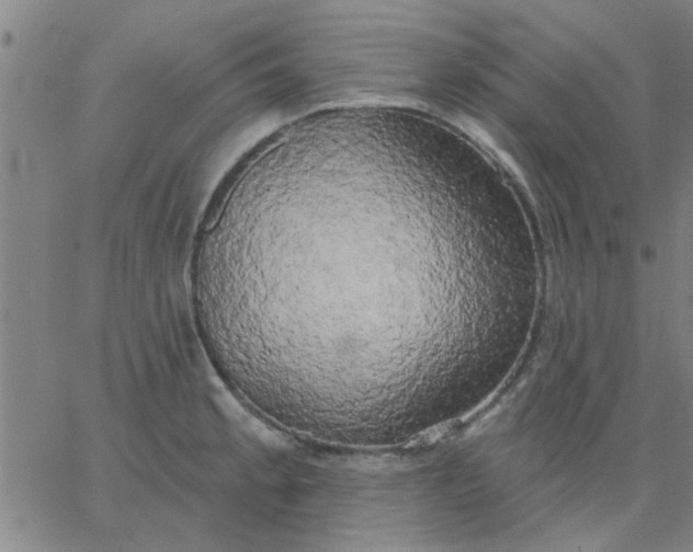 X0000067391189200604131924