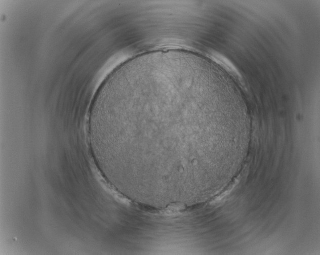 X0000067391190200604131924