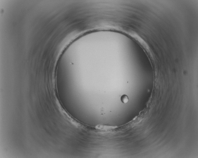 X0000067391191200604131924