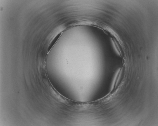 X0000067391193200604131924