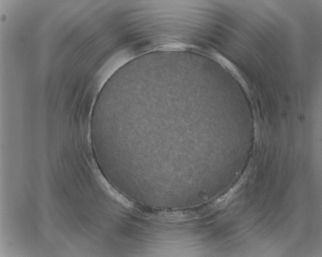 X0000067391194200604131924