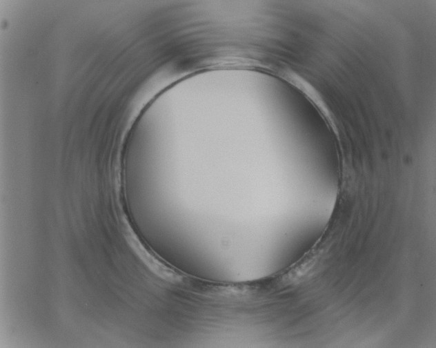 X0000067391195200604131924