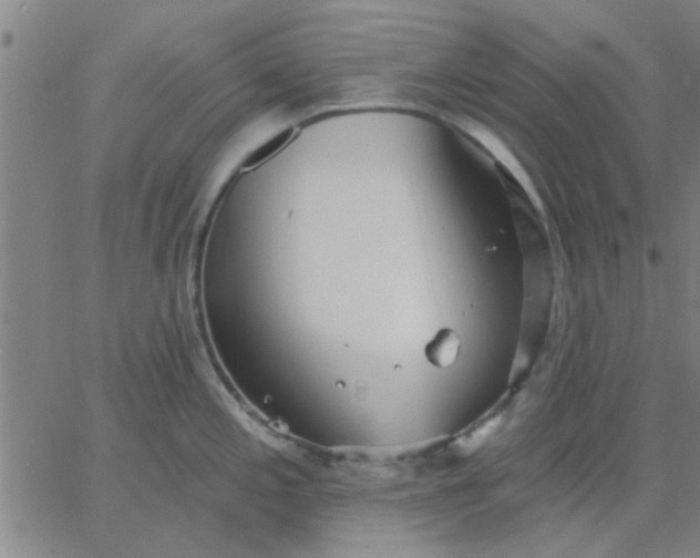 X0000067391197200604131924