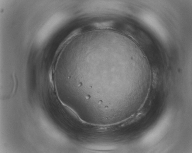 X0000067391198200604131924