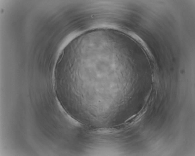 X0000067391199200604131924