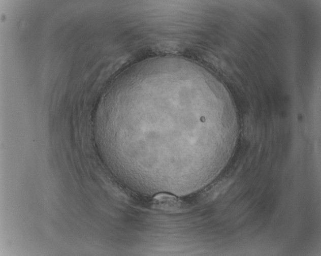 X0000067391201200604131923