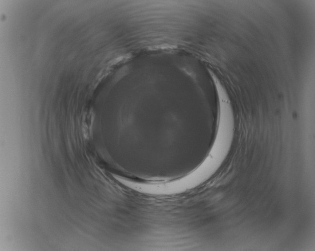 X0000067391202200604131923