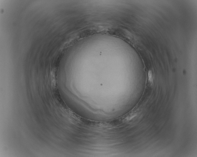 X0000067391203200604131923