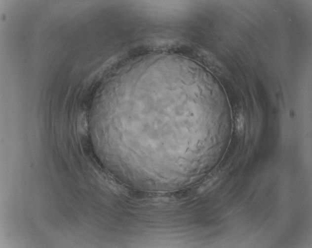 X0000067391204200604131923