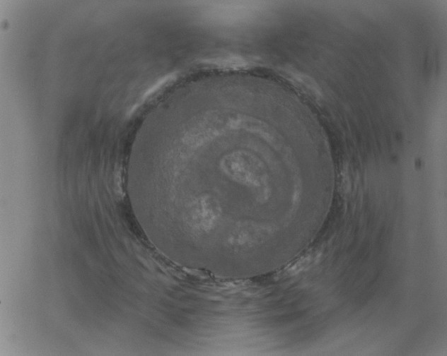 X0000067391205200604131923