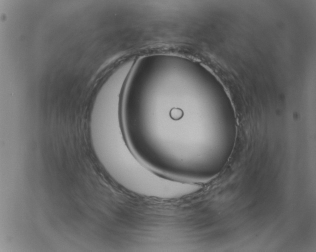 X0000067391206200604131923