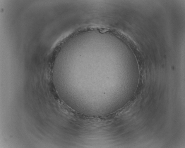 X0000067391207200604131923