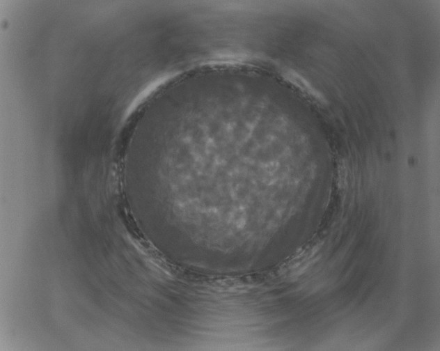 X0000067391208200604131923