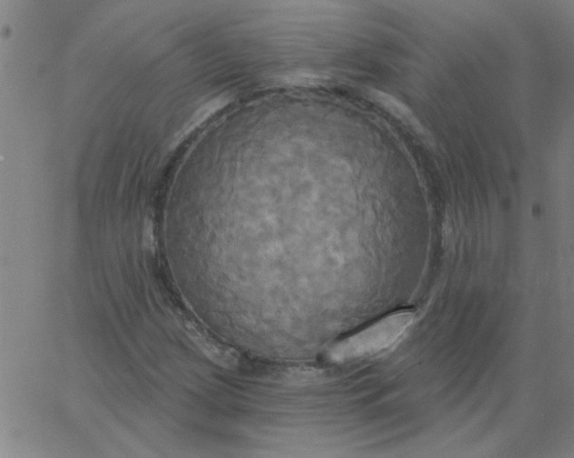 X0000067391209200604131923