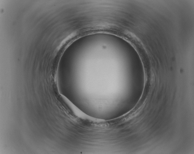 X0000067391210200604131923