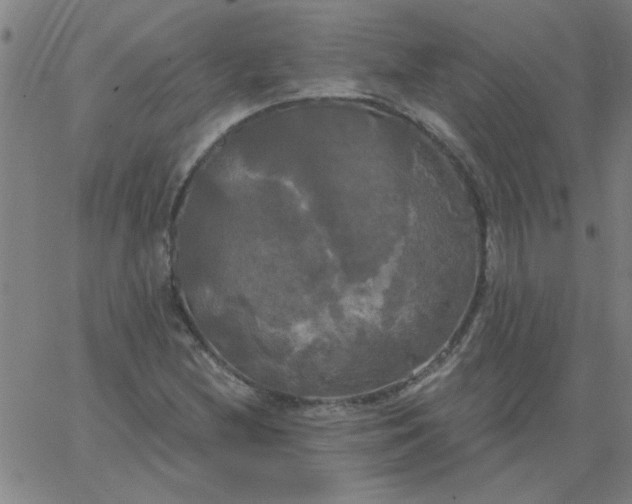 X0000067391212200604131923