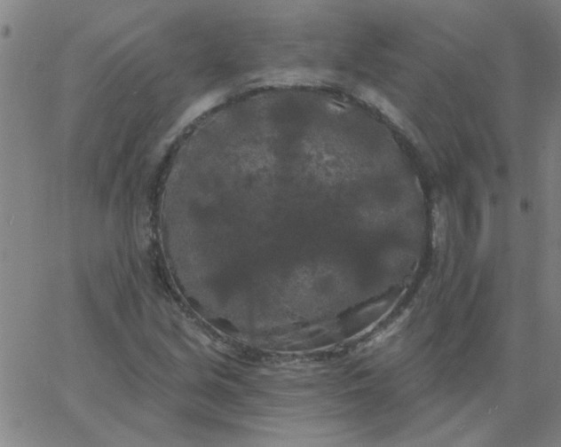 X0000067391213200604131923