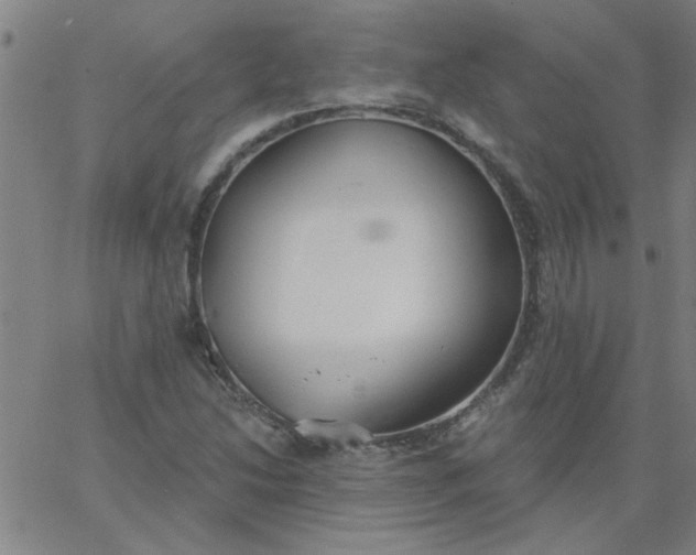 X0000067391214200604131923