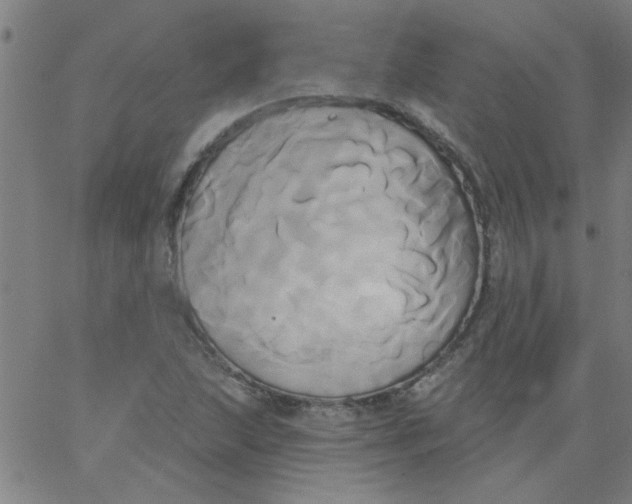 X0000067391215200604131923