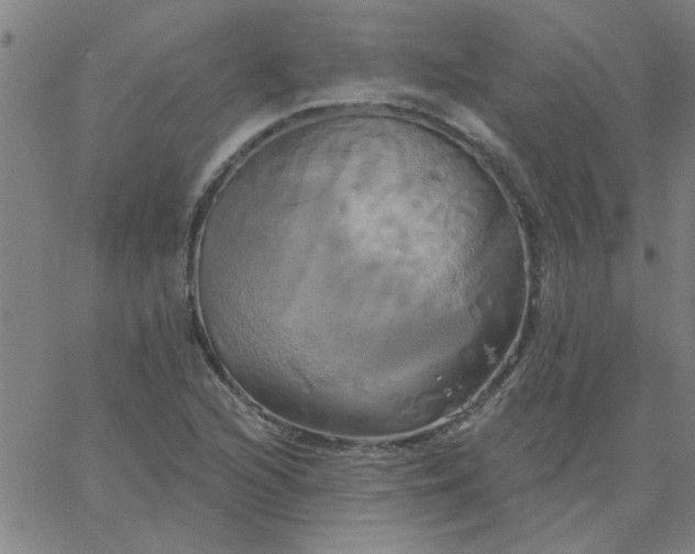 X0000067391216200604131923