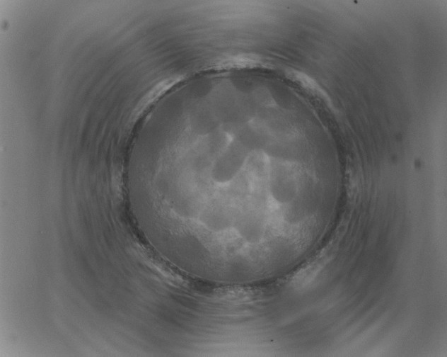 X0000067391217200604131923