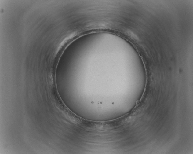 X0000067391218200604131923