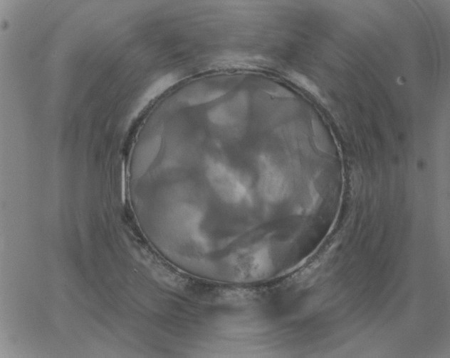 X0000067391219200604131923