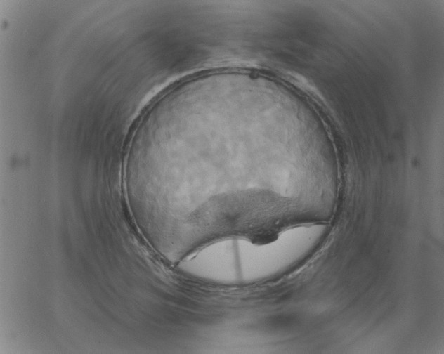 X0000067391220200604131923