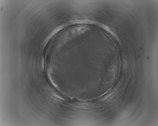 X0000067391221200604131923