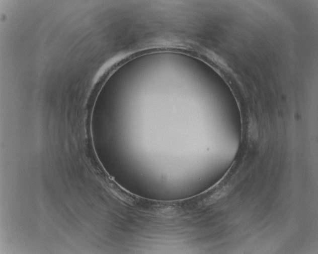 X0000067391222200604131923