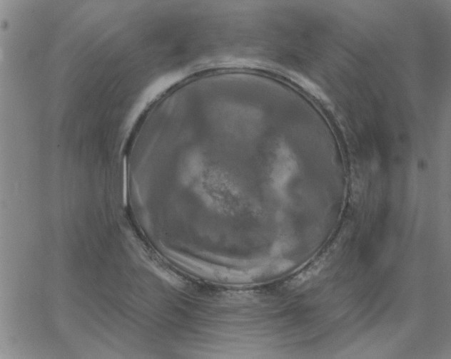 X0000067391223200604131923