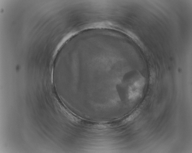 X0000067391224200604131923