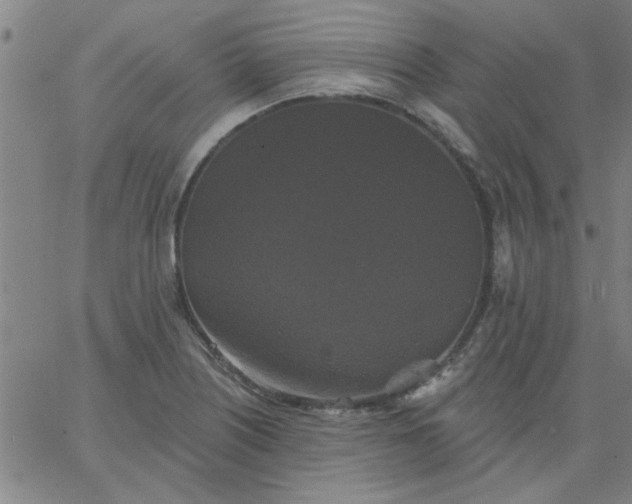 X0000067391226200604131923