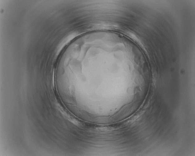 X0000067391227200604131923