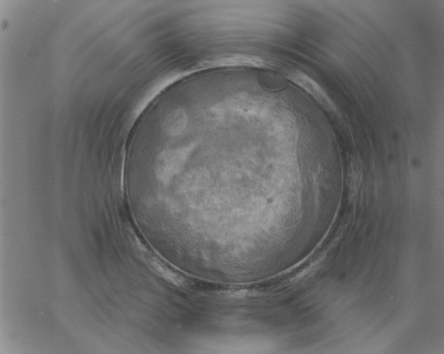 X0000067391228200604131923