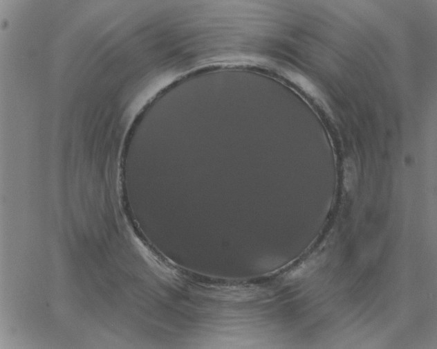 X0000067391229200604131923