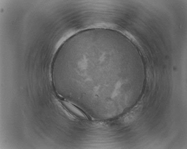 X0000067391230200604131923