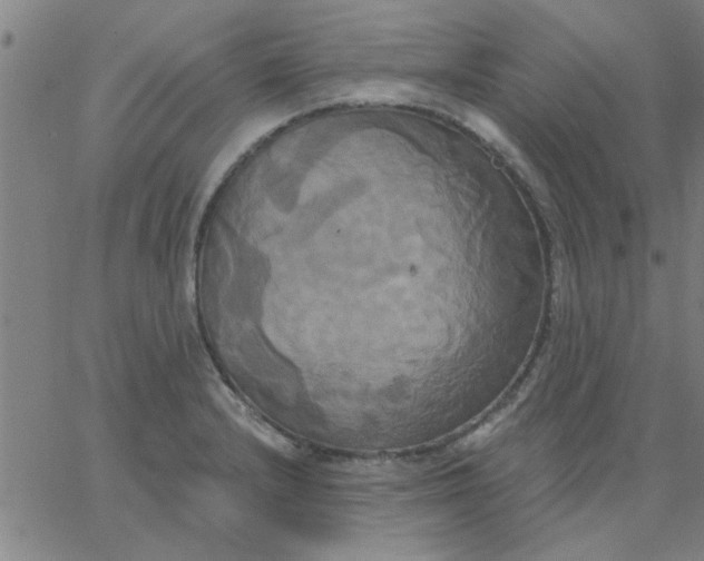 X0000067391232200604131923