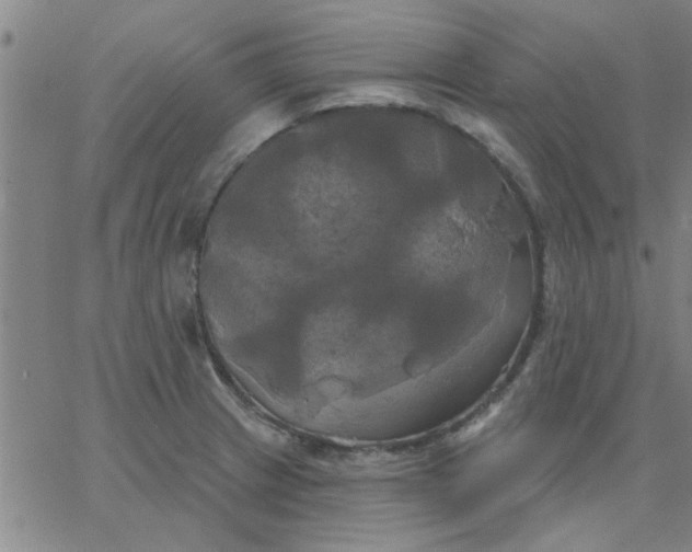 X0000067391233200604131923