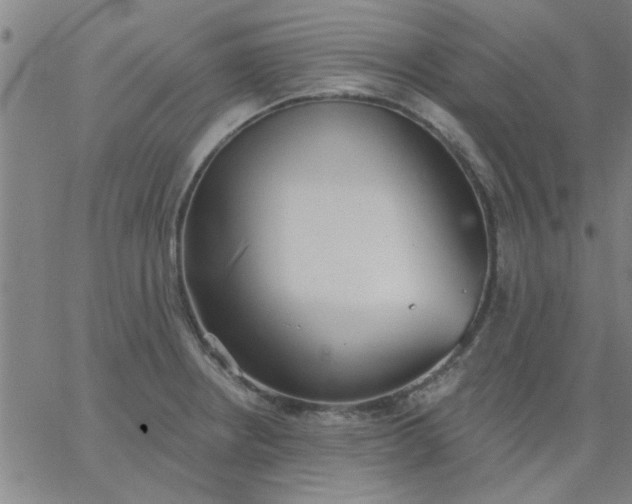 X0000067391234200604131923